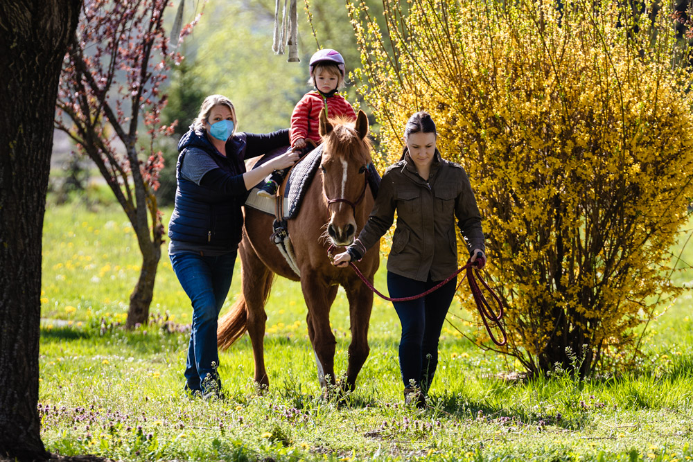 Auf dem Rücken der Pferde – liegt das Glück dieser Erde: Ausritt in die weitläufige Naturlandschaft rund um den Sterntalerhof  | © Sterntalerhof, Stephan Zwiauer